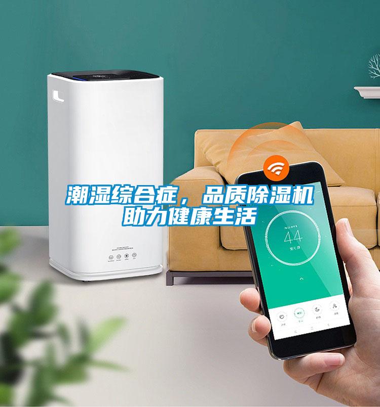 潮濕綜合癥，品質除濕機助力健康生活