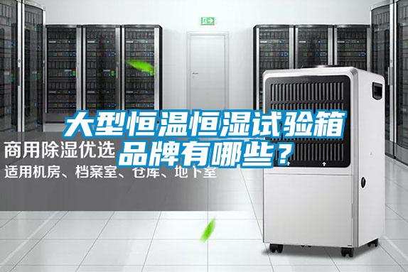 大型恒溫恒濕試驗箱品牌有哪些？