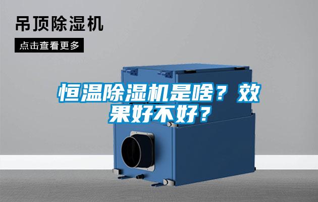 恒溫除濕機(jī)是啥？效果好不好？