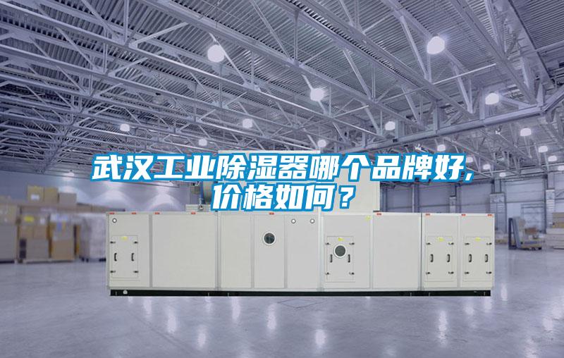 武漢工業除濕器哪個品牌好,價格如何？