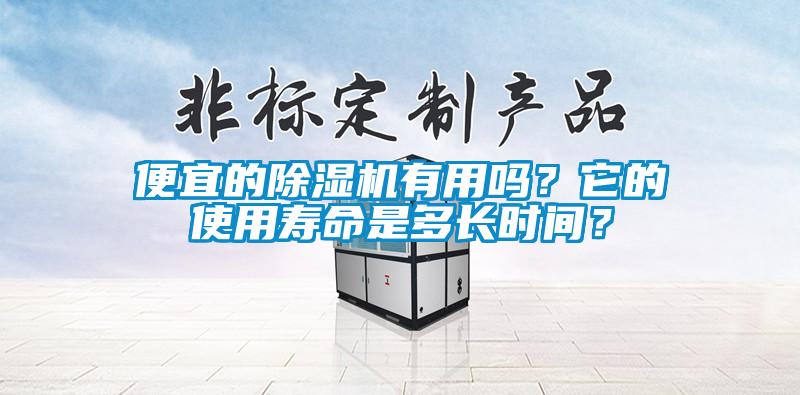 便宜的除濕機有用嗎？它的使用壽命是多長時間？