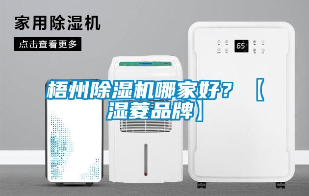 梧州除濕機(jī)哪家好？【濕菱品牌】