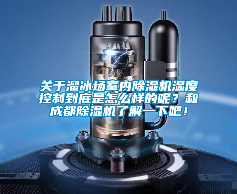關于溜冰場室內(nèi)除濕機濕度控制到底是怎么樣的呢？和成都除濕機了解一下吧！