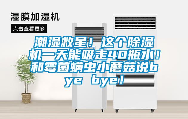 潮濕救星！這個除濕機一天能吸走40瓶水！和霉菌螨蟲小蘑菇說bye bye！