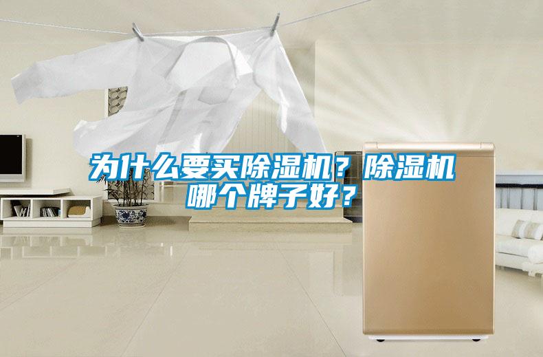 為什么要買除濕機？除濕機哪個牌子好？