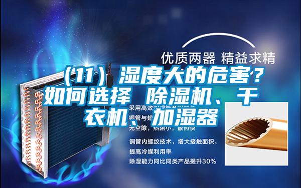 （11）濕度大的危害？如何選擇 除濕機、干衣機、加濕器