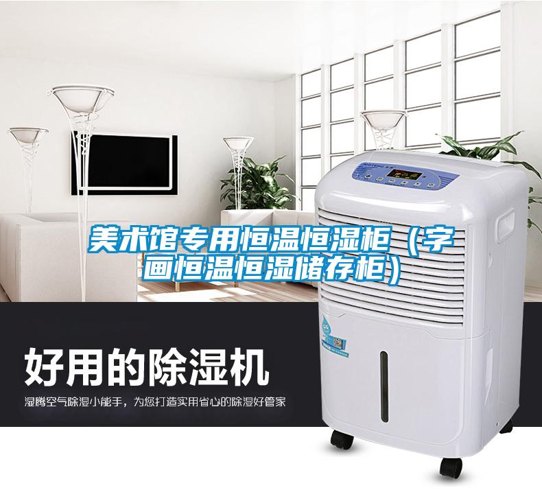 美術(shù)館專用恒溫恒濕柜（字畫(huà)恒溫恒濕儲(chǔ)存柜）