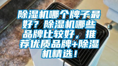 除濕機(jī)哪個牌子最好？除濕機(jī)哪些品牌比較好，推薦優(yōu)質(zhì)品牌+除濕機(jī)精選！