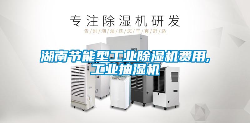 湖南節(jié)能型工業(yè)除濕機(jī)費用,工業(yè)抽濕機(jī)