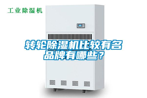 轉(zhuǎn)輪除濕機比較有名品牌有哪些？