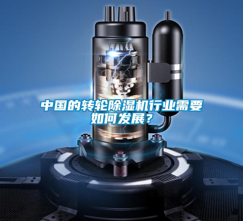 中國的轉輪除濕機行業需要如何發展？