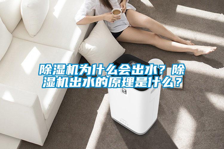 除濕機為什么會出水？除濕機出水的原理是什么？