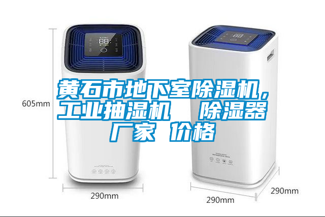 黃石市地下室除濕機，工業(yè)抽濕機  除濕器廠家 價格