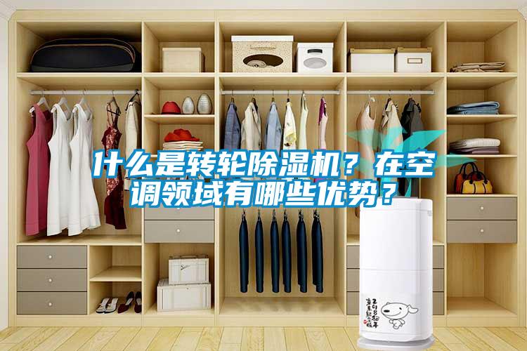 什么是轉(zhuǎn)輪除濕機？在空調(diào)領域有哪些優(yōu)勢？