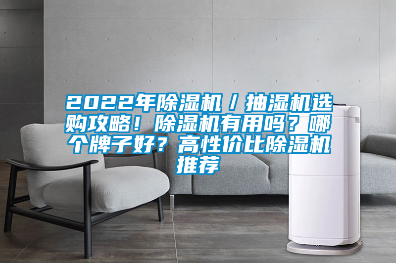 2022年除濕機／抽濕機選購攻略！除濕機有用嗎？哪個牌子好？高性價比除濕機推薦