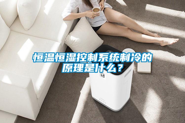 恒溫恒濕控制系統制冷的原理是什么？