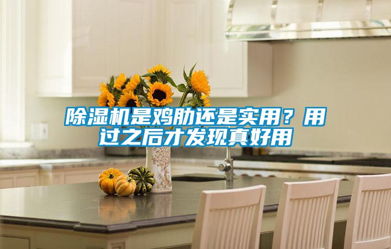 除濕機是雞肋還是實用？用過之后才發現真好用