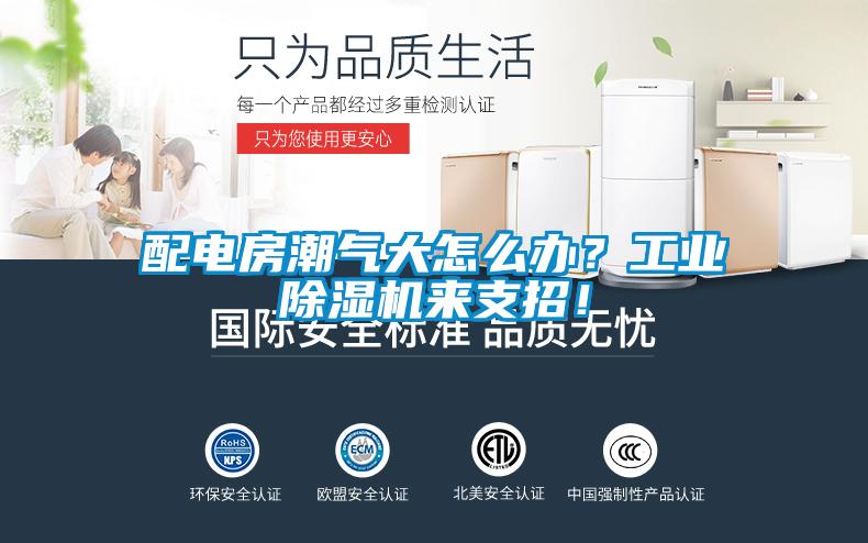 配電房潮氣大怎么辦？工業(yè)除濕機來支招！