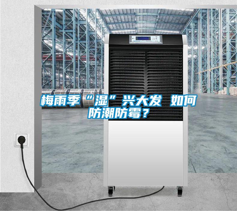 梅雨季“濕”興大發(fā) 如何防潮防霉？