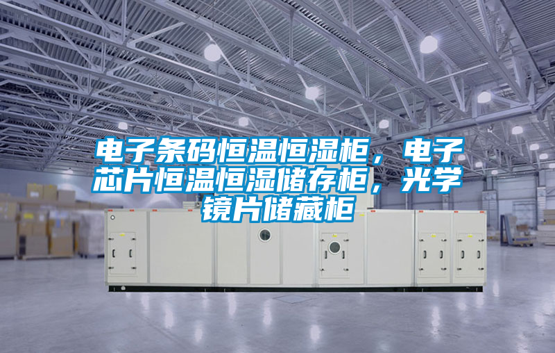 電子條碼恒溫恒濕柜，電子芯片恒溫恒濕儲存柜，光學鏡片儲藏柜