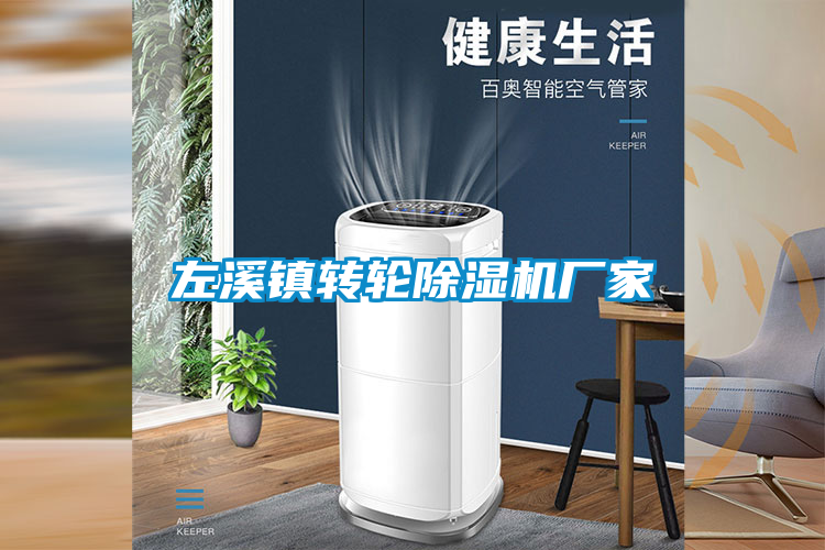 左溪鎮(zhèn)轉(zhuǎn)輪除濕機廠家