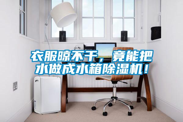 衣服晾不干，竟能把水做成水箱除濕機(jī)！