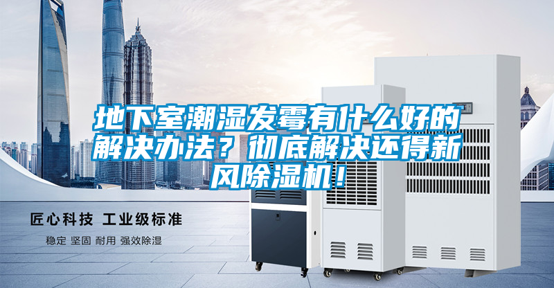 地下室潮濕發(fā)霉有什么好的解決辦法？徹底解決還得新風除濕機！