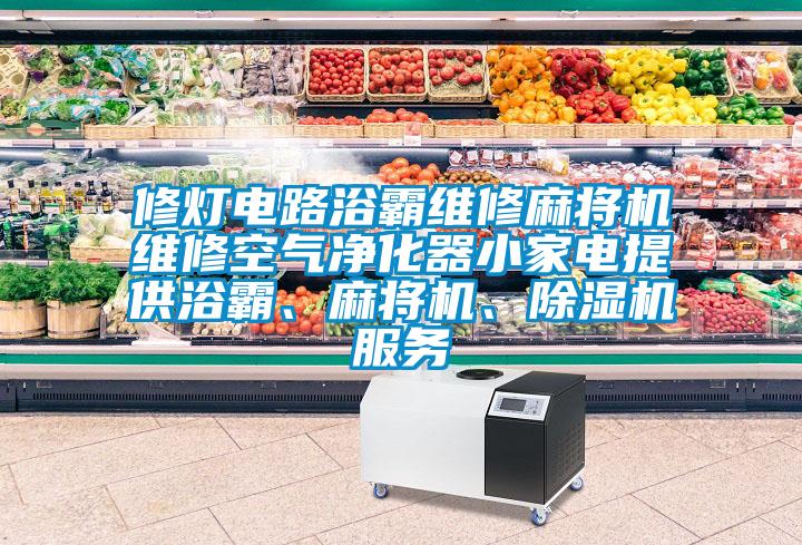 修燈電路浴霸維修麻將機(jī)維修空氣凈化器小家電提供浴霸、麻將機(jī)、除濕機(jī)服務(wù)
