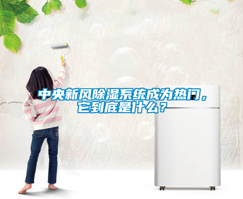 中央新風除濕系統成為熱門，它到底是什么？