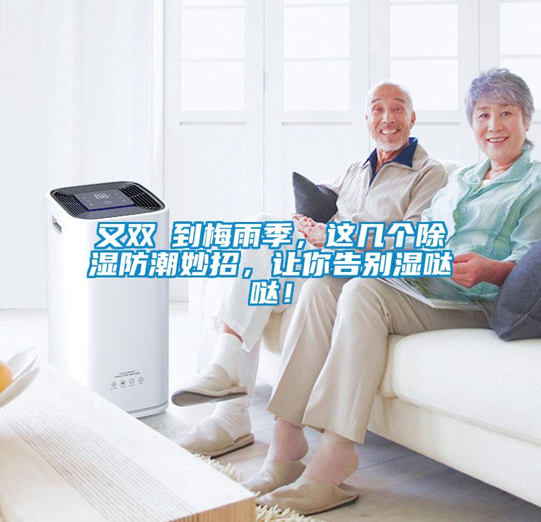 又雙叒到梅雨季，這幾個除濕防潮妙招，讓你告別濕噠噠！