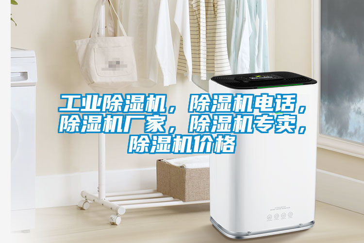 工業除濕機，除濕機電話，除濕機廠家，除濕機專賣，除濕機價格