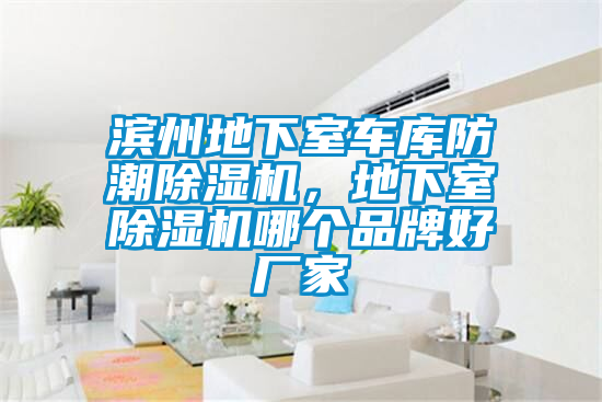 濱州地下室車庫防潮除濕機(jī)，地下室除濕機(jī)哪個品牌好廠家