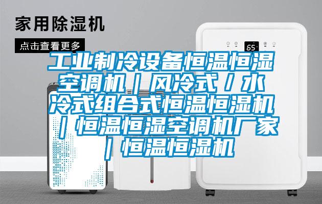 工業(yè)制冷設(shè)備恒溫恒濕空調(diào)機｜風冷式／水冷式組合式恒溫恒濕機｜恒溫恒濕空調(diào)機廠家｜恒溫恒濕機