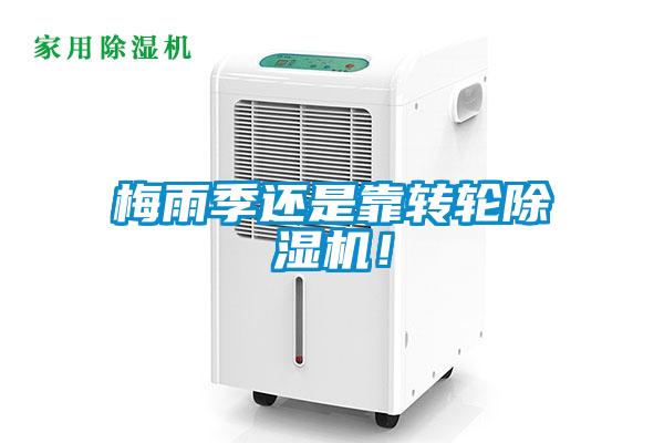 梅雨季還是靠轉(zhuǎn)輪除濕機(jī)！