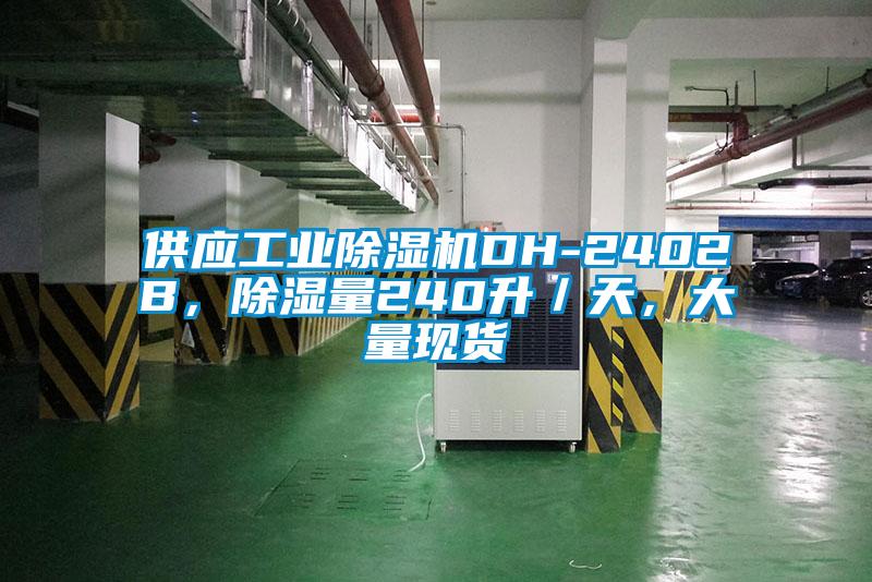 供應(yīng)工業(yè)除濕機DH-2402B，除濕量240升／天，大量現(xiàn)貨