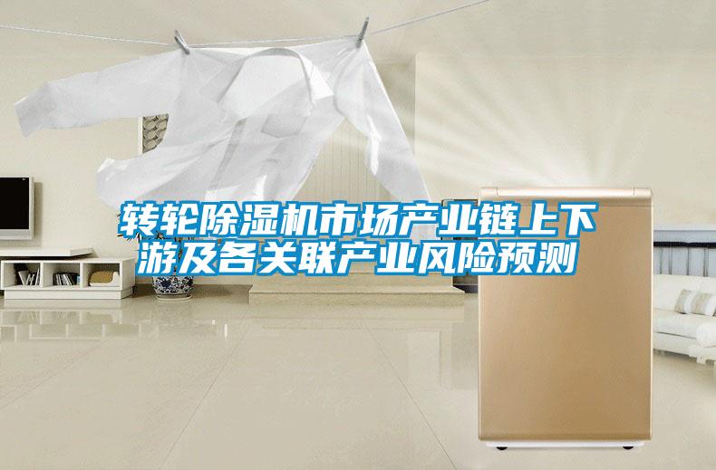 轉(zhuǎn)輪除濕機市場產(chǎn)業(yè)鏈上下游及各關聯(lián)產(chǎn)業(yè)風險預測