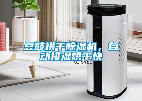 豆豉烘干除濕機，自動排濕烘干快