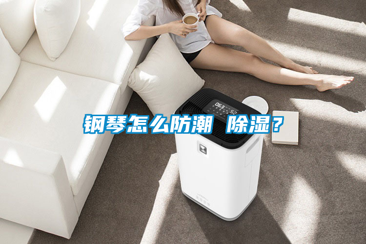 鋼琴怎么防潮 除濕？
