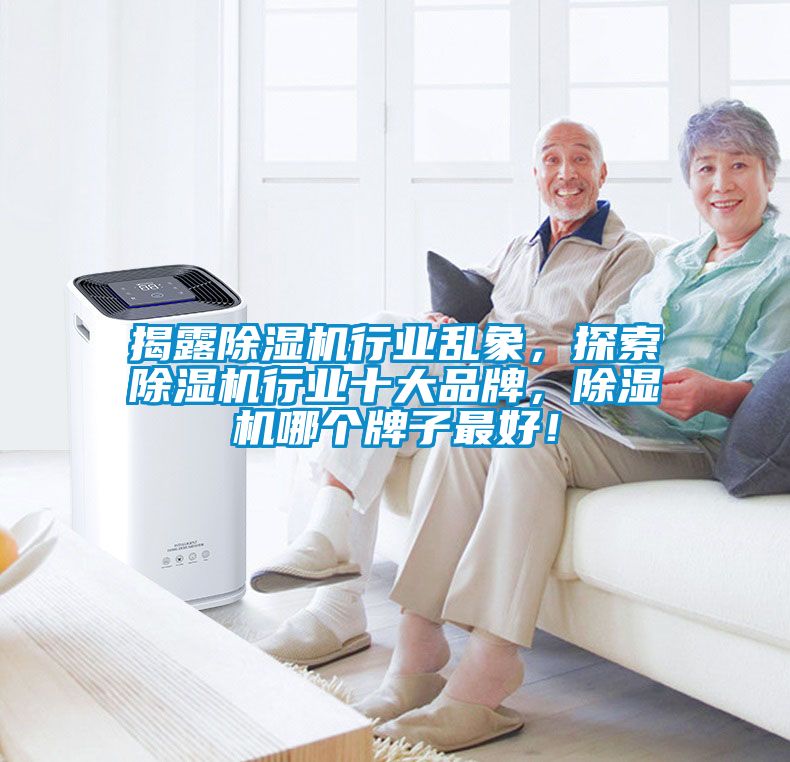 揭露除濕機行業亂象，探索除濕機行業十大品牌，除濕機哪個牌子最好！