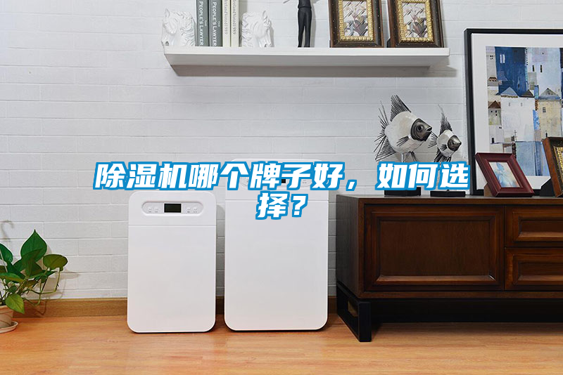 除濕機哪個牌子好，如何選擇？