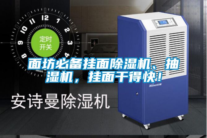 面坊必備掛面除濕機(jī)、抽濕機(jī)，掛面干得快！