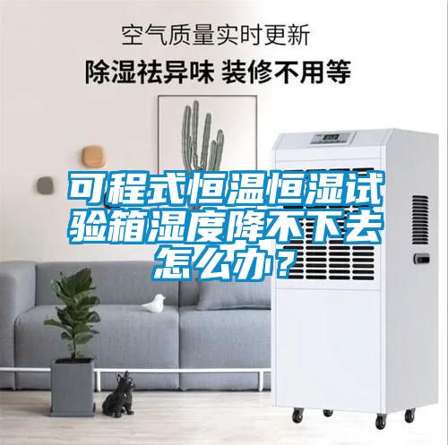 可程式恒溫恒濕試驗箱濕度降不下去怎么辦？