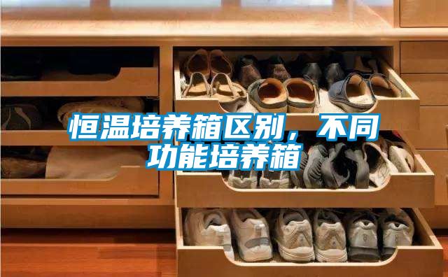 恒溫培養(yǎng)箱區(qū)別，不同功能培養(yǎng)箱