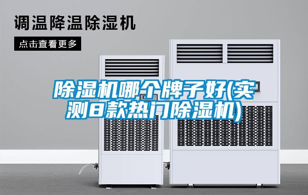 除濕機(jī)哪個(gè)牌子好(實(shí)測8款熱門除濕機(jī))