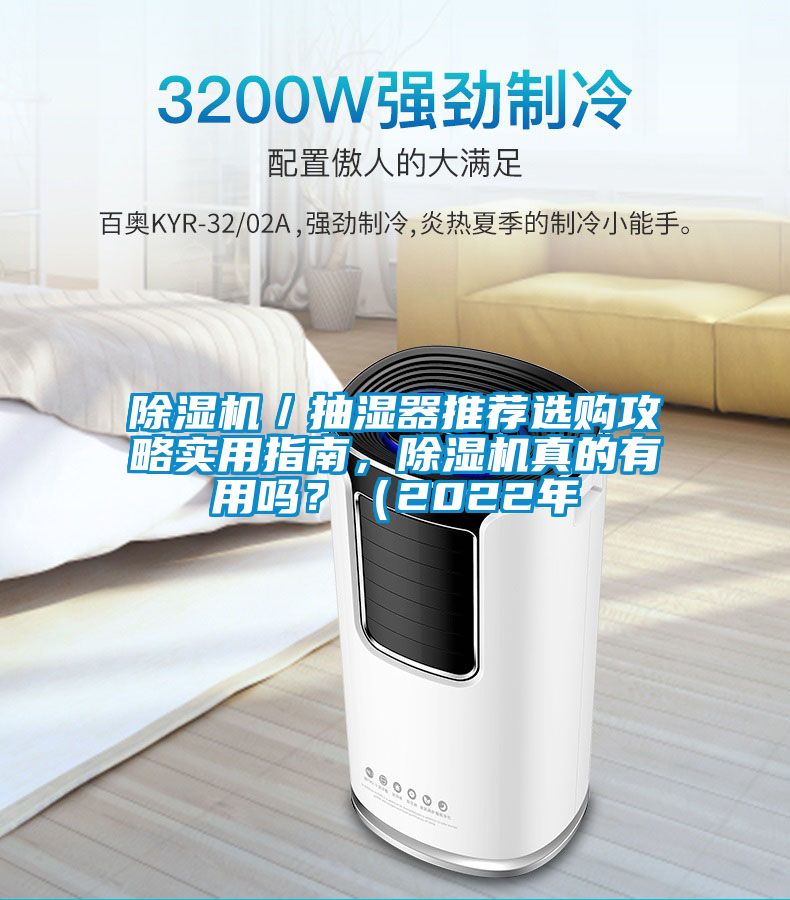 除濕機(jī)／抽濕器推薦選購攻略實用指南，除濕機(jī)真的有用嗎？（2022年