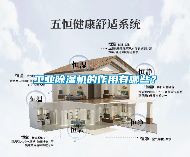 工業除濕機的作用有哪些？