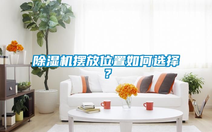 除濕機(jī)擺放位置如何選擇？