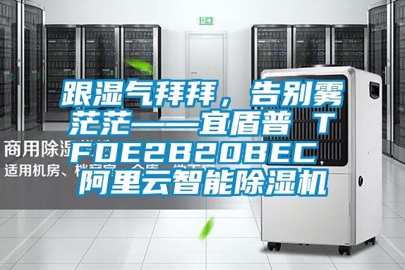 跟濕氣拜拜，告別霧茫茫——宜盾普 TFDE2B20BEC 阿里云智能除濕機