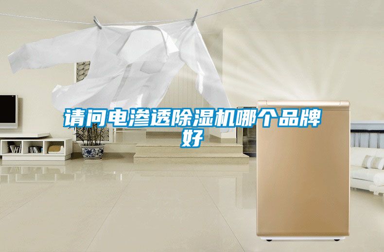 請(qǐng)問(wèn)電滲透除濕機(jī)哪個(gè)品牌好