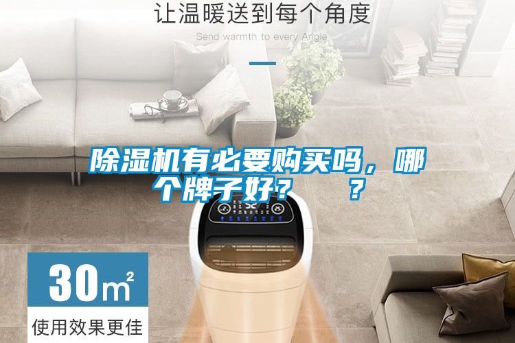 除濕機有必要購買嗎，哪個牌子好？  ？